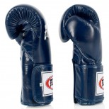 Перчатки боксерские Fairtex (BGV-5 blue)